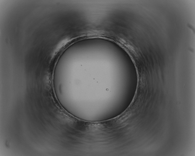 X0000092321454200709141404