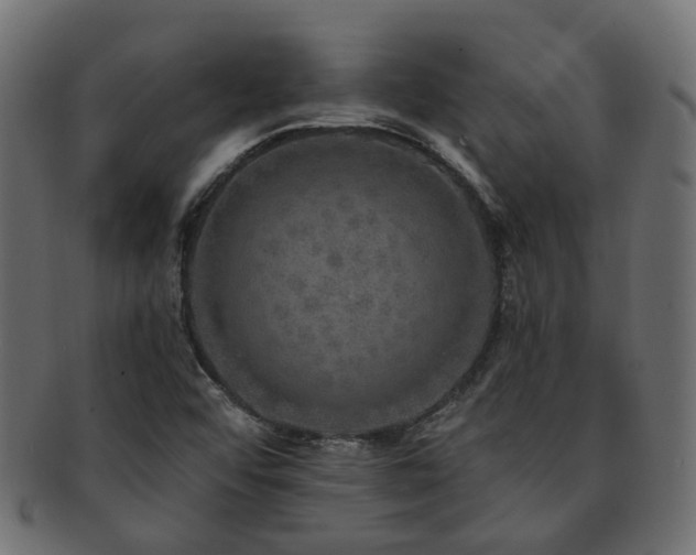 X0000092321456200709141404