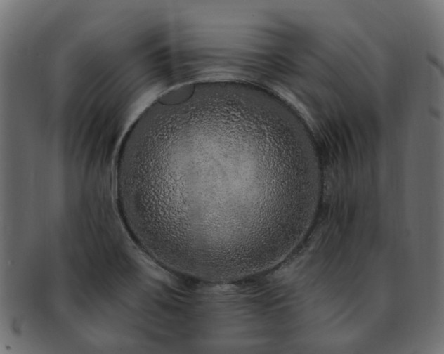 X0000092321467200709141403