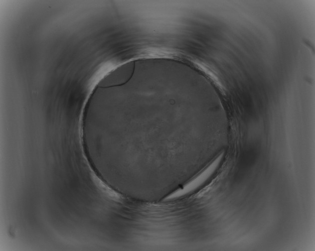 X0000092321471200709141403