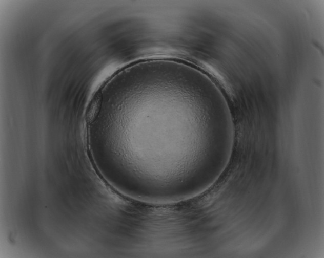 X0000092321472200709141403