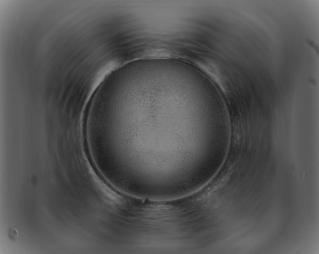 X0000092321475200709141403