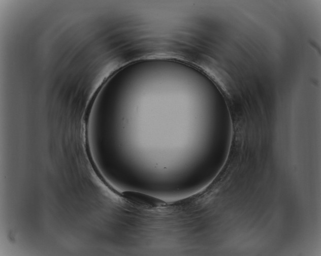 X0000092321476200709141403