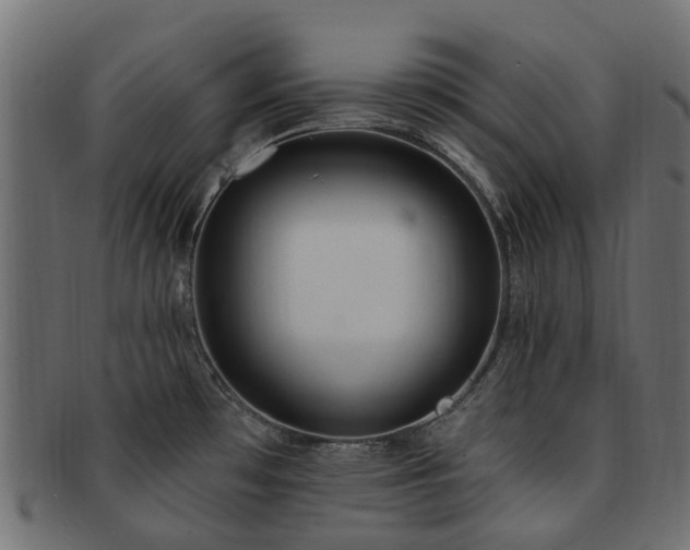 X0000092321481200709141403