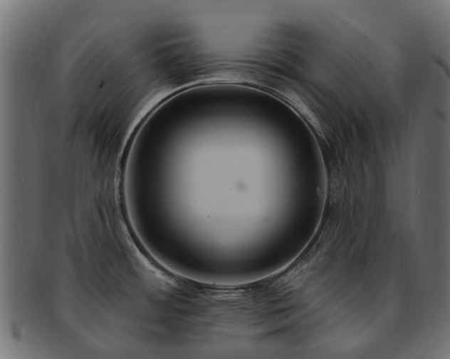 X0000092321484200709141403