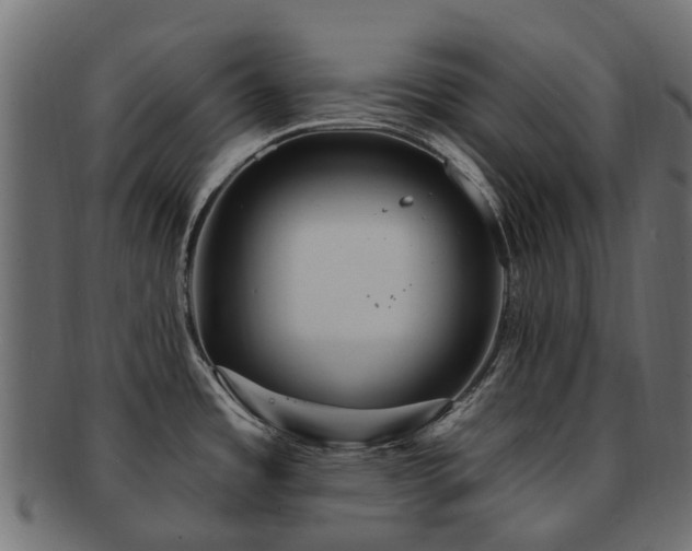 X0000092321485200709141403