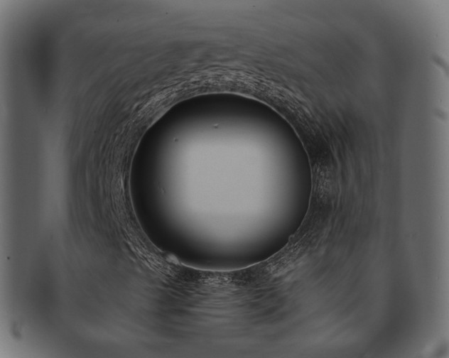 X0000092321489200709141403