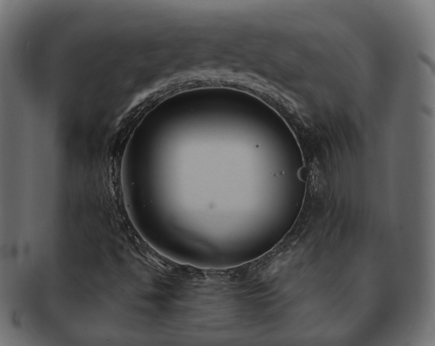 X0000092321494200709141403