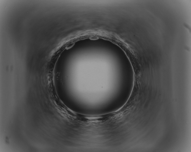 X0000092321496200709141403