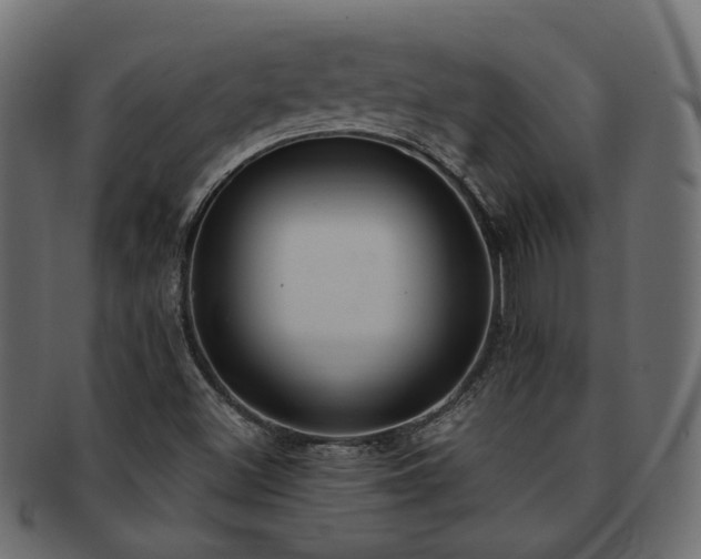 X0000092321500200709141403