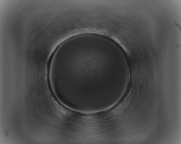 X0000092321508200709141403