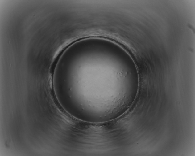 X0000092321509200709141403