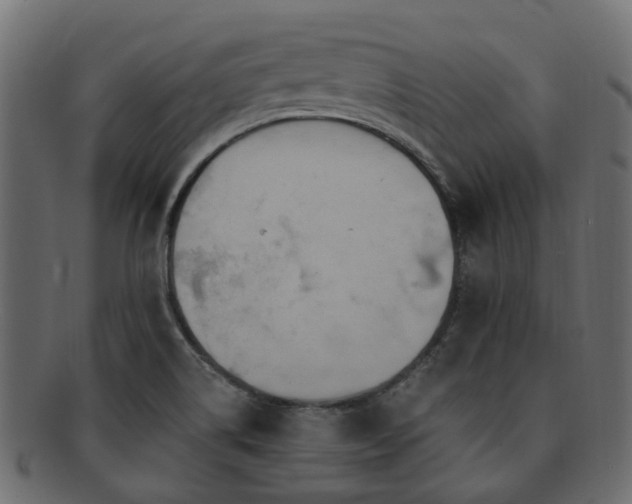 X0000092321514200709141403