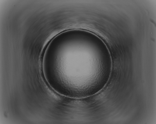 X0000092321517200709141403