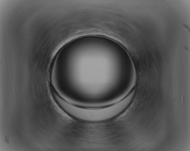 X0000092321518200709141403