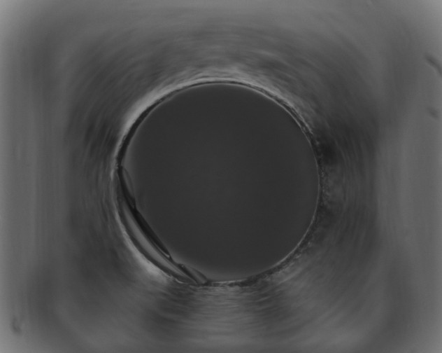 X0000092321519200709141403