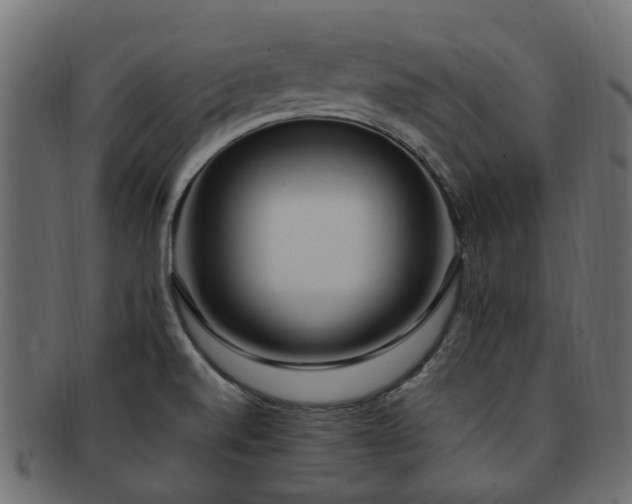 X0000092321520200709141403