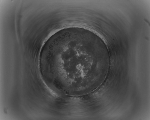 X0000092321525200709141403