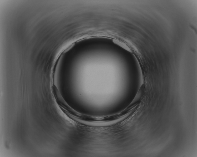 X0000092321528200709141403