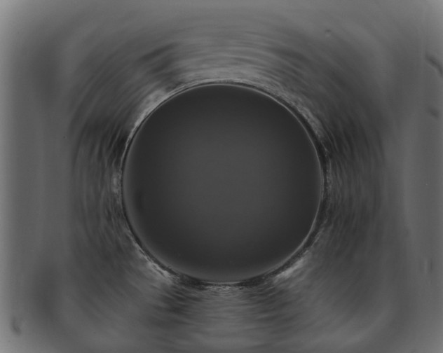 X0000092321529200709141403