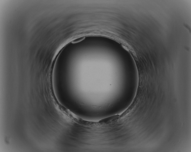 X0000092321530200709141403