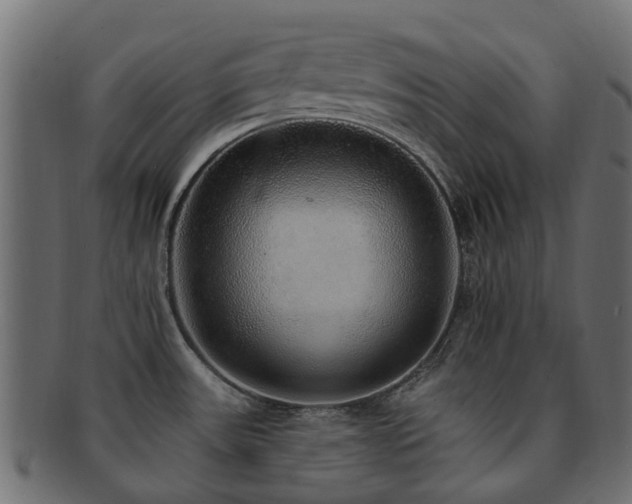 X0000092321531200709141403