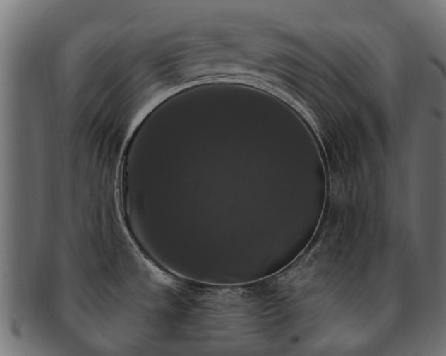 X0000092321533200709141403