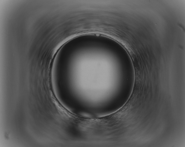 X0000092321534200709141403