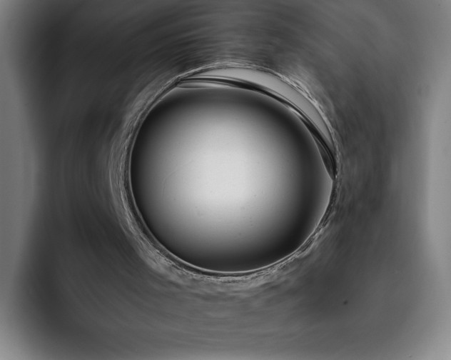 X0000092320001200709211338