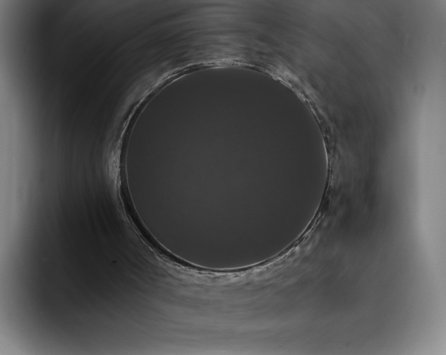 X0000092320002200709211338