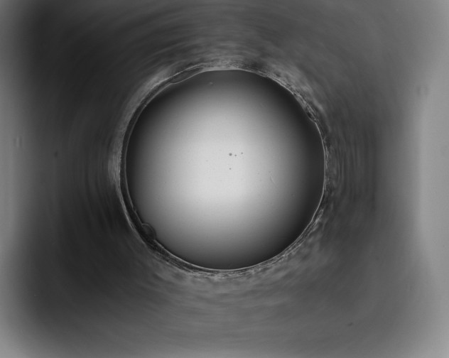 X0000092320003200709211338