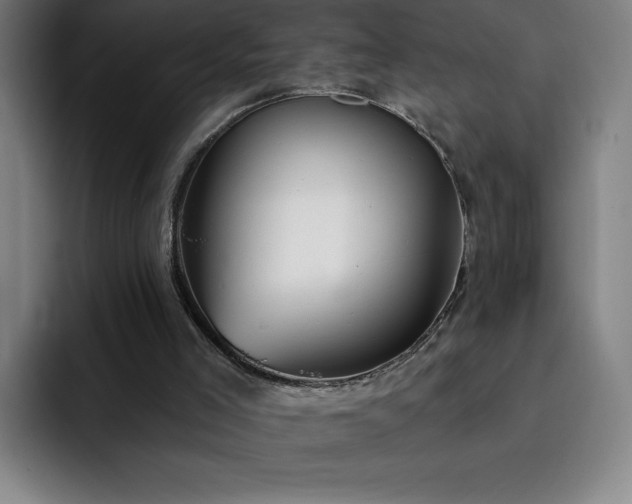 X0000092320005200709211338