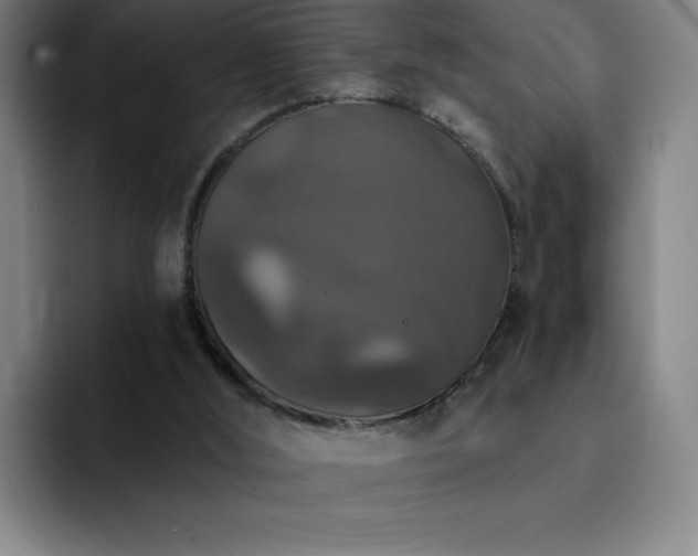 X0000092320012200709211337
