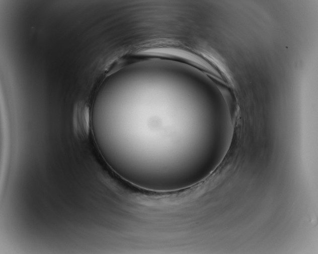 X0000092320013200709211337