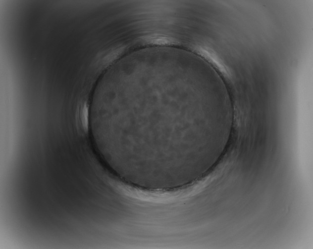 X0000092320014200709211337