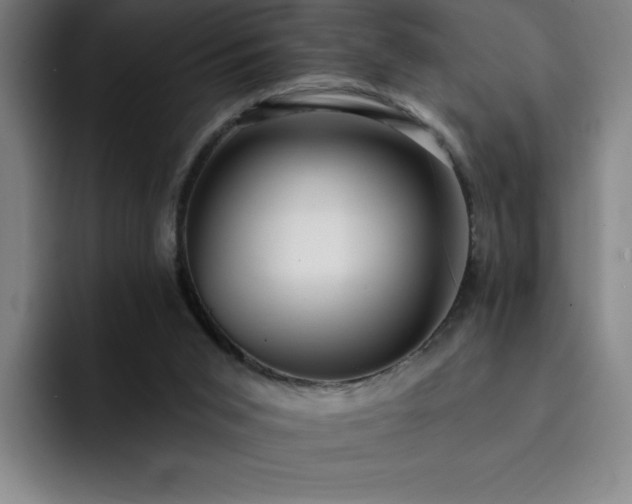 X0000092320015200709211337