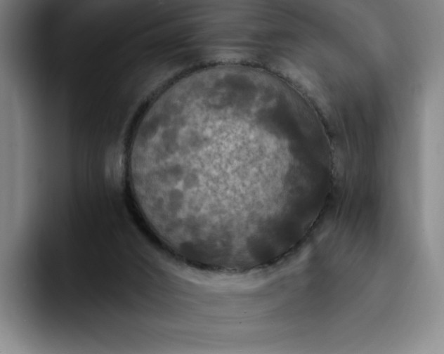 X0000092320016200709211337