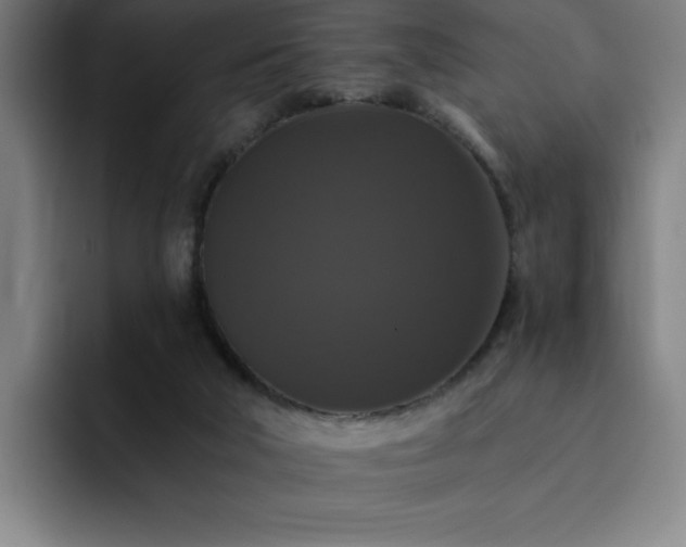 X0000092320018200709211337