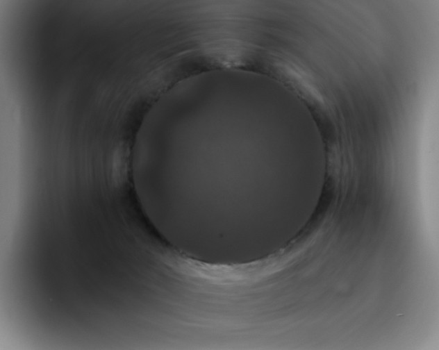 X0000092320030200709211337