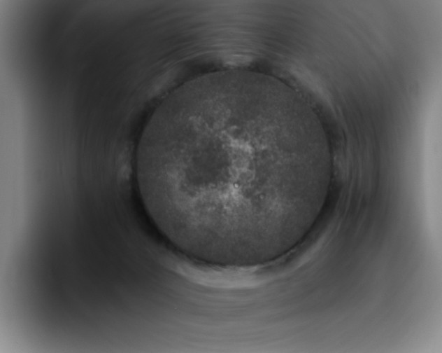 X0000092320032200709211337