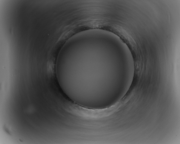 X0000092320035200709211337