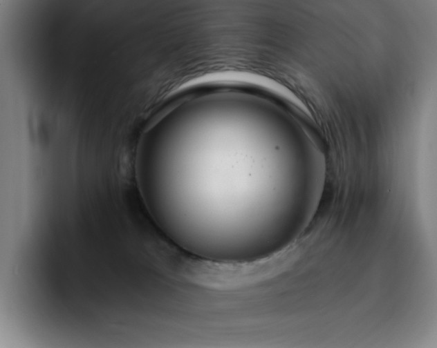X0000092320037200709211337