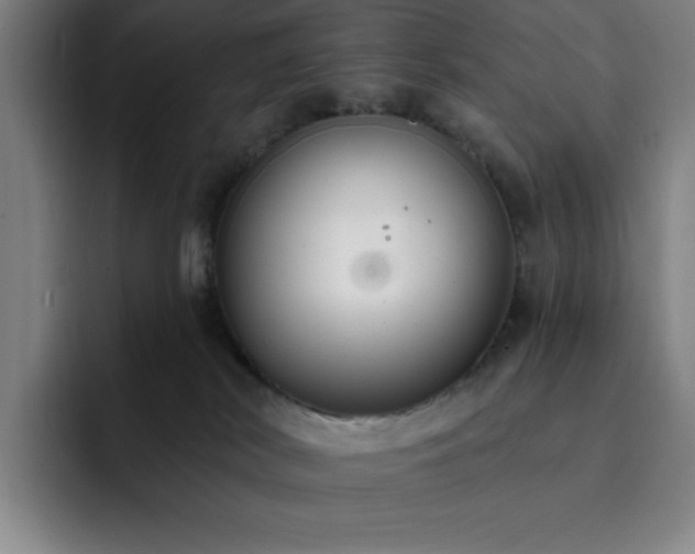 X0000092320038200709211337