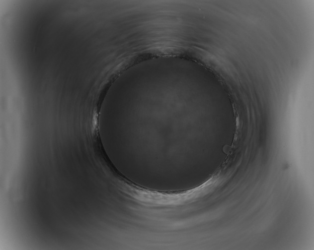 X0000092320048200709211337