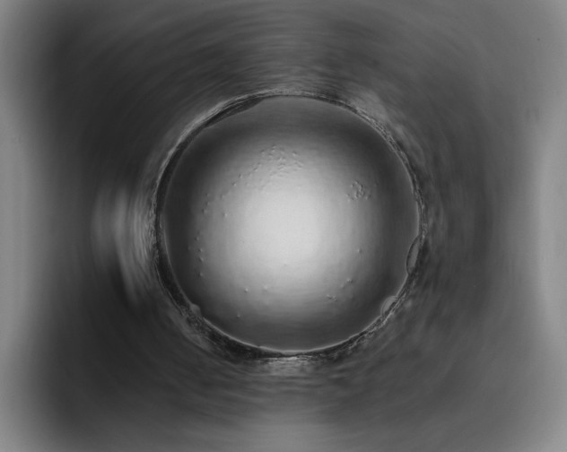 X0000092320050200709211336