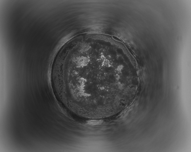 X0000092320051200709211337