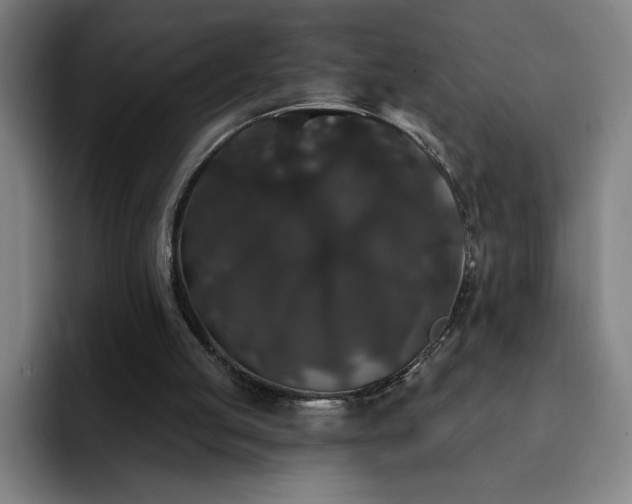 X0000092320053200709211337