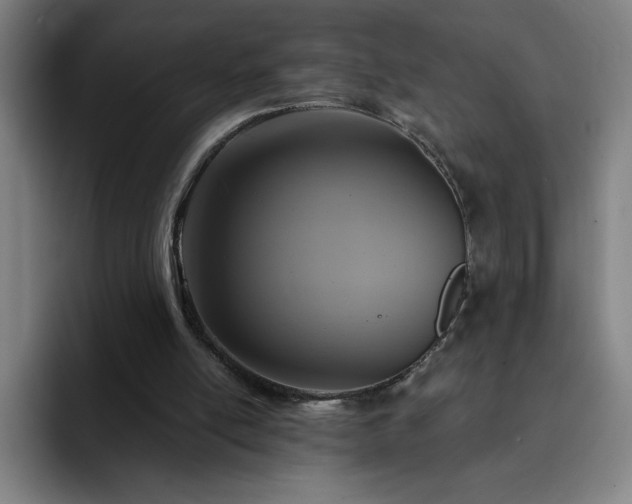 X0000092320054200709211337