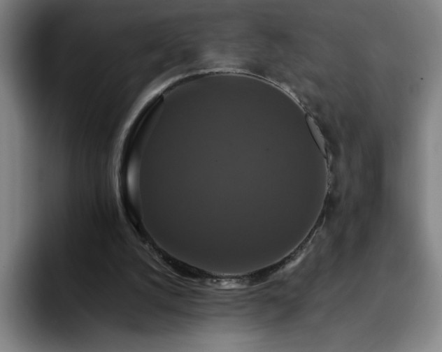 X0000092320056200709211337