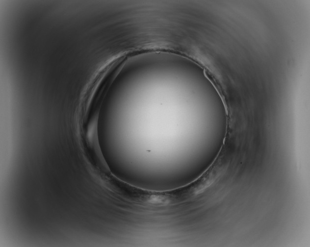 X0000092320060200709211337